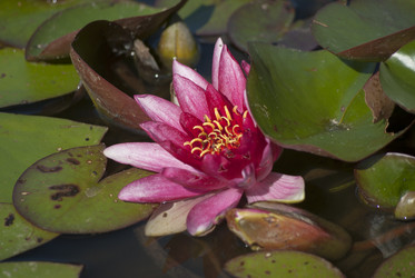 Similar image 5616199