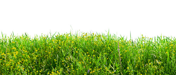 Similar image 5616220