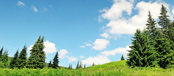 Similar image 5616222