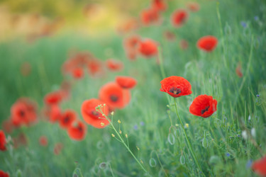 Similar image 5616431