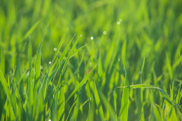 Similar image 5616440