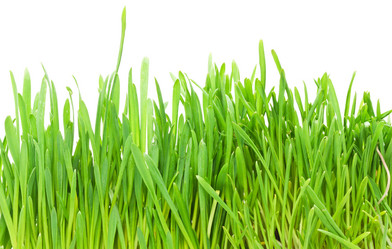 Similar image 5616474