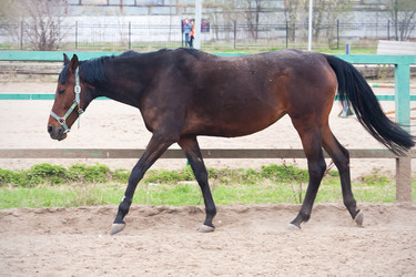 Similar image 5616486