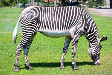 Similar image 5616489