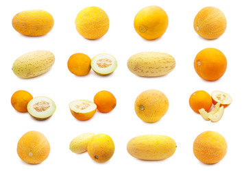 Similar image 5616519