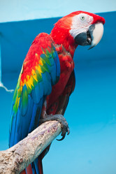 Similar image 5616525