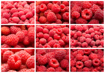 Similar image 5616537