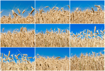 Similar image 5616561