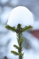 Similar image 5617098