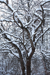 Similar image 5617099