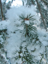 Similar image 5617175