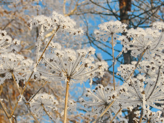 Similar image 5617179