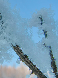 Similar image 5617184