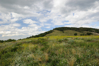 Similar image 5617251