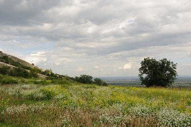 Similar image 5617252