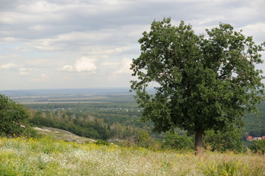 Similar image 5617253