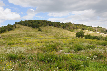 Similar image 5617257