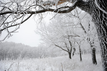 Similar image 5617261