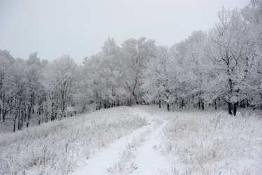 Similar image 5617262