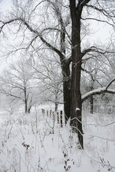 Similar image 5617263