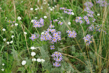 Similar image 5617265