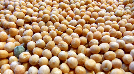 Similar image 5617370