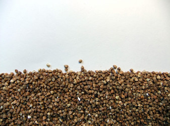 Similar image 5617376