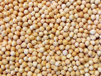 Similar image 5617377