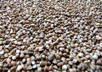 Similar image 5617382