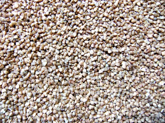 Similar image 5617386