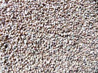 Similar image 5617397