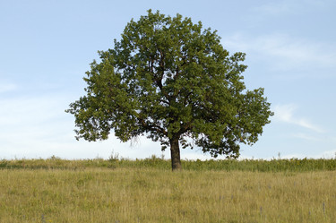 Similar image 5617531