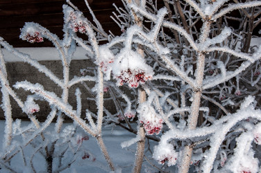 Similar image 5617554