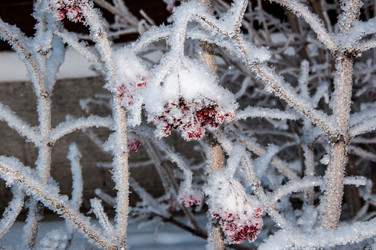 Similar image 5617555