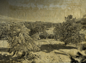 Similar image 5617611