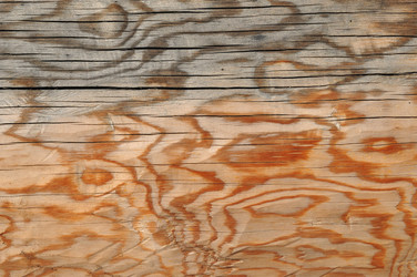 Similar image 5617631