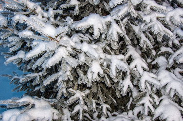 Similar image 5617747