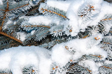 Similar image 5617750