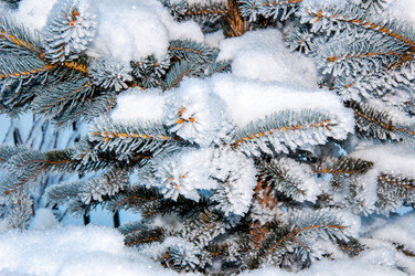 Similar image 5617751