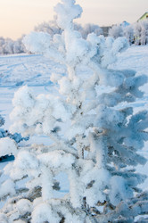 Similar image 5617754