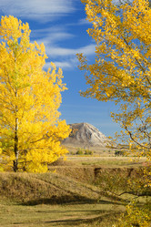 Similar image 5617759