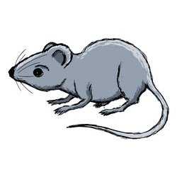 Similar image 5617775