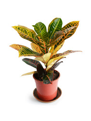 Similar image 5617804