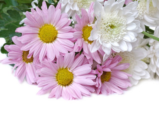 Similar image 5617807