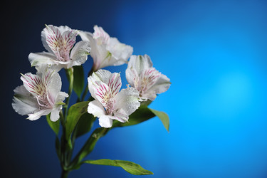 Similar image 5617809