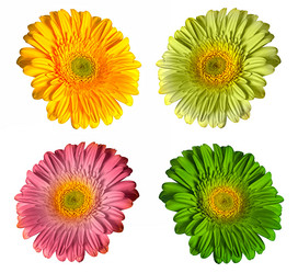 Similar image 5617810