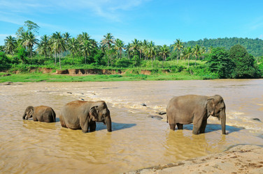 Similar image 5617963