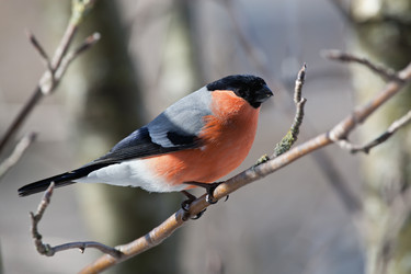 Similar image 5617965