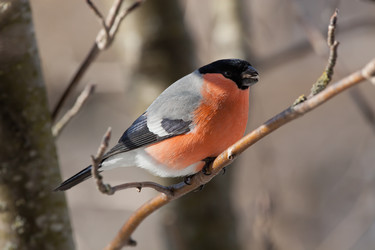 Similar image 5617966