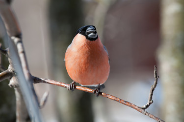 Similar image 5617969